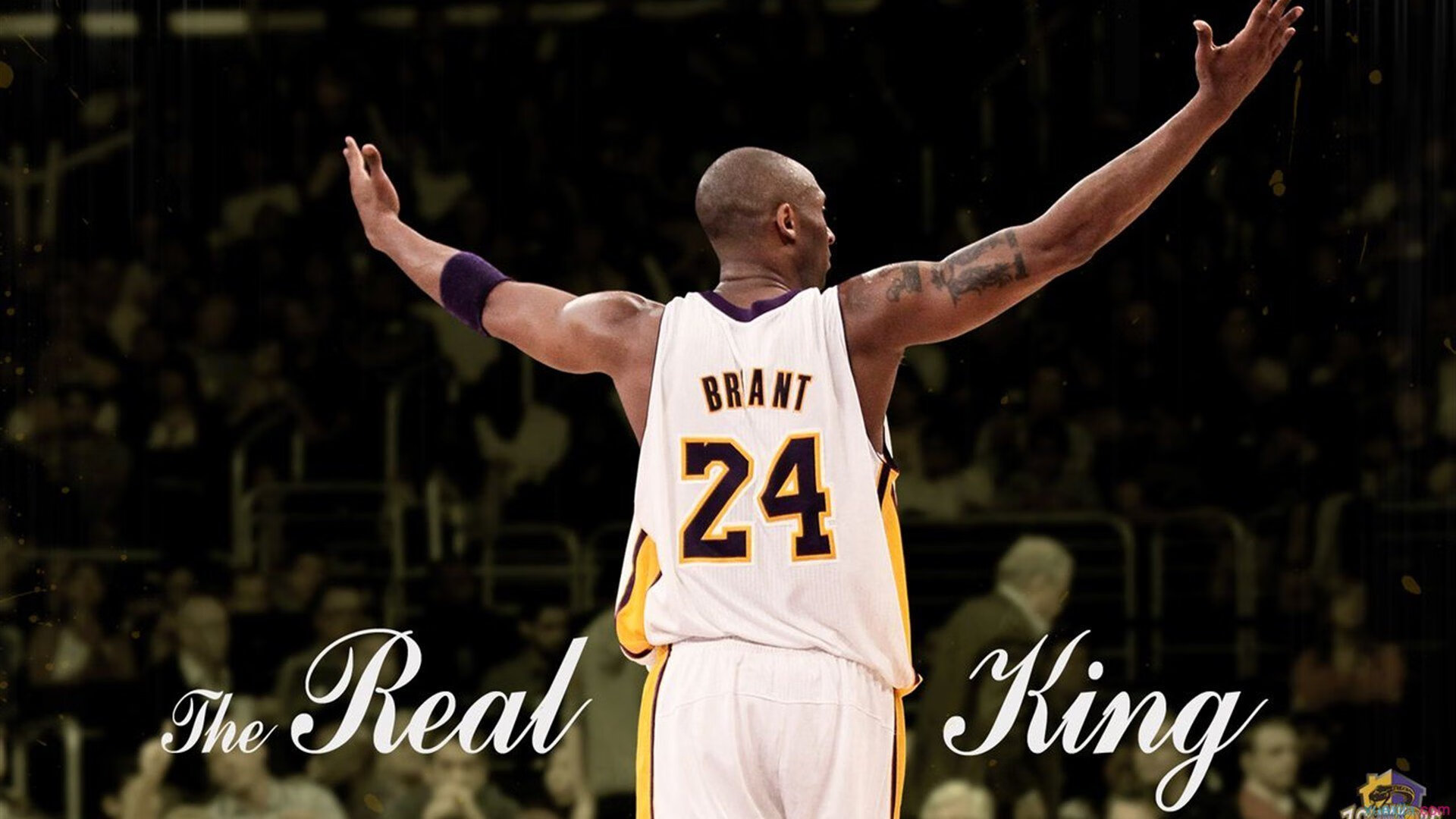 星空体育app下载-史上最炸“盖帽”百科:谁的防守最令人叹服?,最会盖帽的控卫